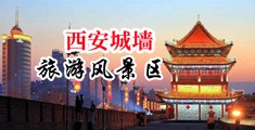 啊啊啊啊啊不要了出水了视频中国陕西-西安城墙旅游风景区